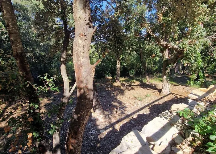 Tatil Evi Opetitparadis Six-Fours-les-Plages